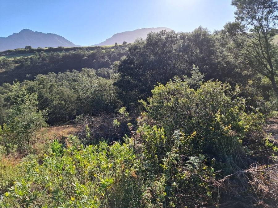 9 Bedroom Property for Sale in Riversdale Rural Western Cape